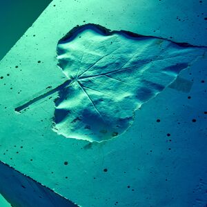 KIBAG Start Baustoffe